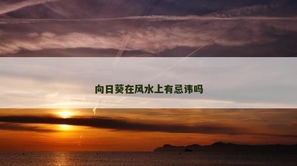 向日葵在风水上有忌讳吗