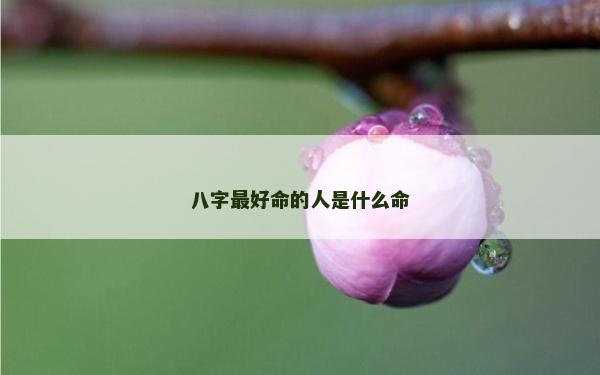 八字最好命的人是什么命