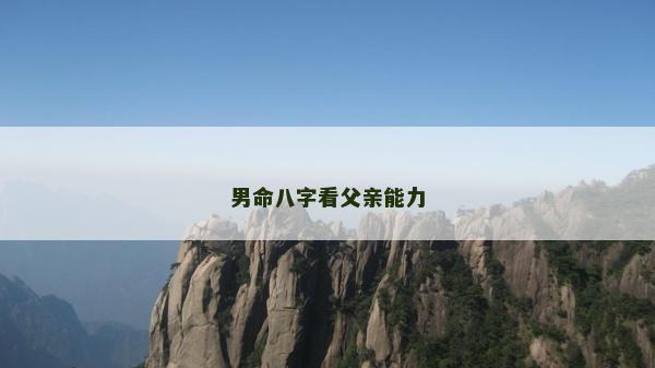 男命八字看父亲能力