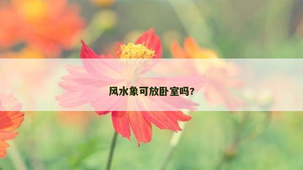 风水象可放卧室吗?