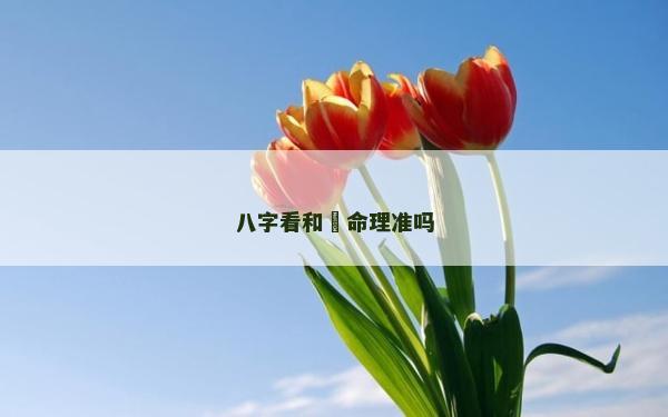 八字看和珅命理准吗