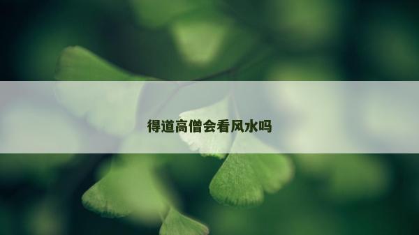 得道高僧会看风水吗