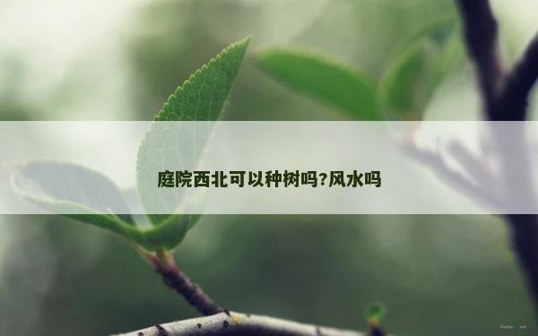 庭院西北可以种树吗?风水吗