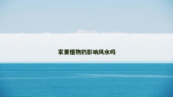 家里植物扔影响风水吗
