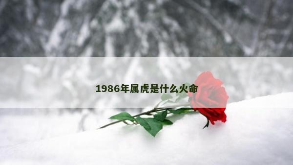 1986年属虎是什么火命