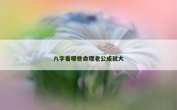 八字看哪些命理老公成就大