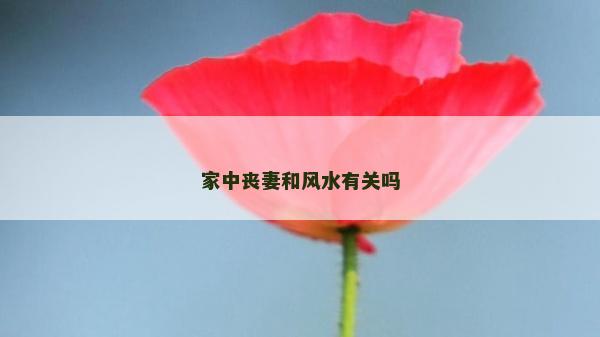 家中丧妻和风水有关吗