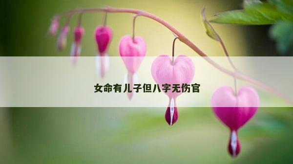 女命有儿子但八字无伤官