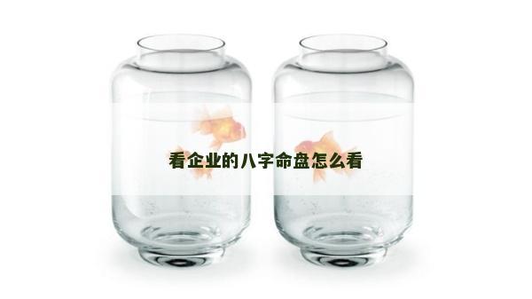 看企业的八字命盘怎么看
