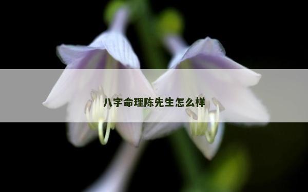 八字命理陈先生怎么样