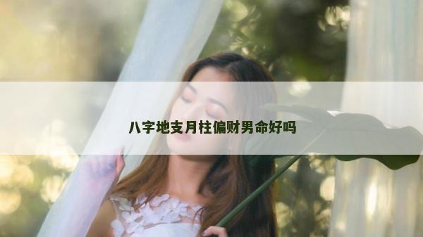 八字地支月柱偏财男命好吗