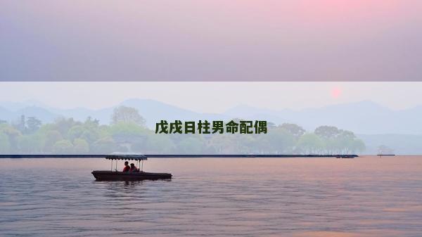 戊戌日柱男命配偶