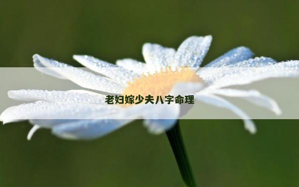 老妇嫁少夫八字命理