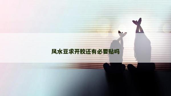 风水豆求开胶还有必要贴吗