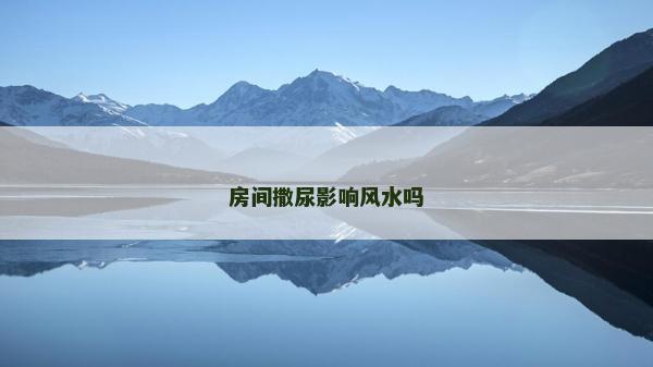 房间撒尿影响风水吗