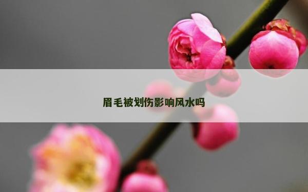 眉毛被划伤影响风水吗