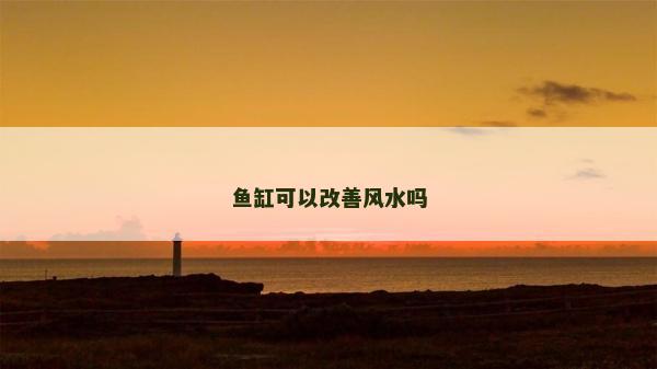 鱼缸可以改善风水吗