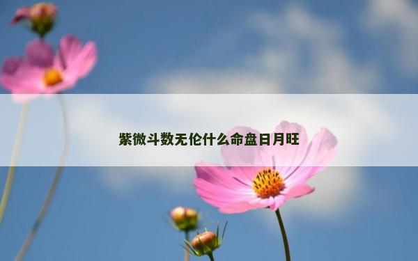 紫微斗数无伦什么命盘日月旺