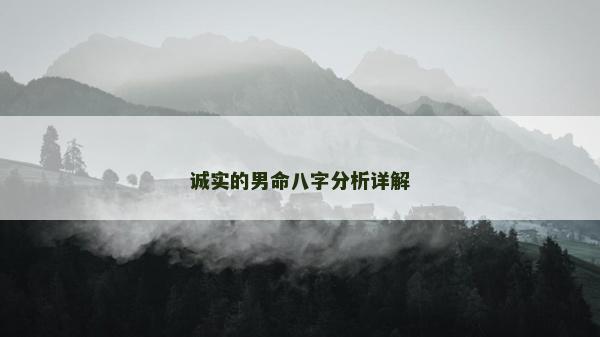 诚实的男命八字分析详解