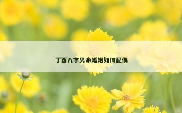 丁酉八字男命婚姻如何配偶