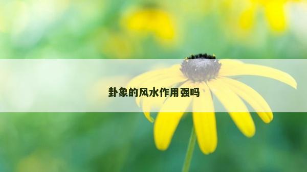 卦象的风水作用强吗