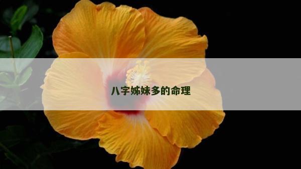 八字姊妹多的命理