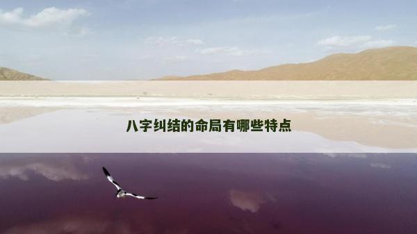 八字纠结的命局有哪些特点