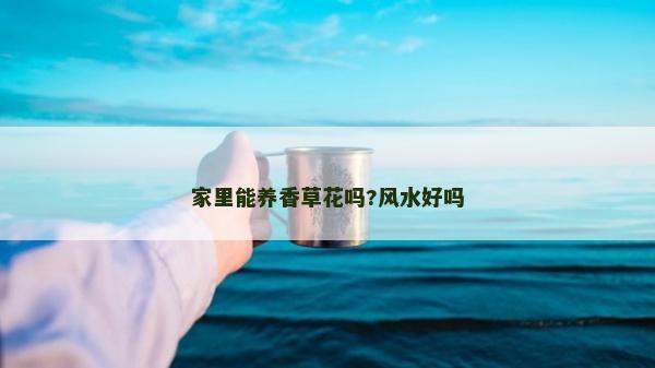 家里能养香草花吗?风水好吗