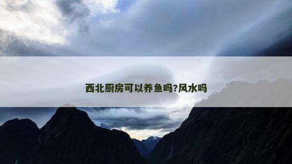 西北厨房可以养鱼吗?风水吗