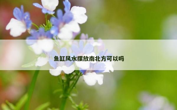 鱼缸风水摆放南北方可以吗