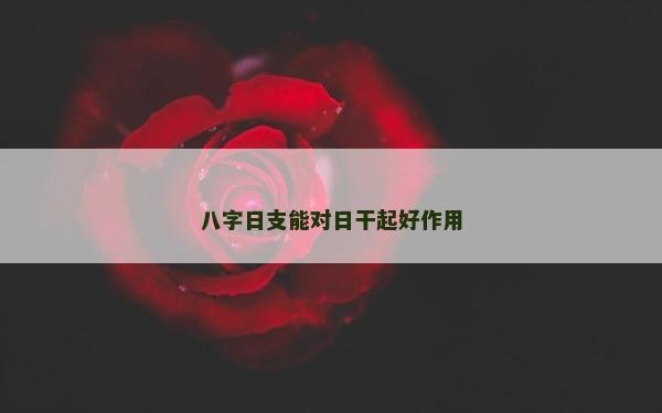 八字日支能对日干起好作用