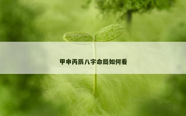 甲申丙辰八字命局如何看