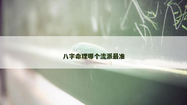 八字命理哪个流派最准