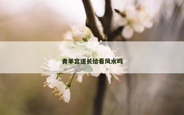 青羊宫道长给看风水吗
