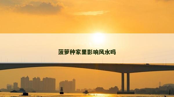 菠萝种家里影响风水吗