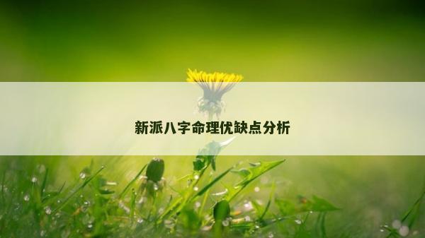 新派八字命理优缺点分析