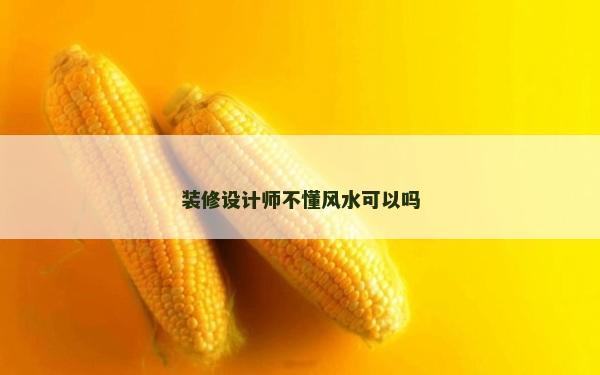 装修设计师不懂风水可以吗