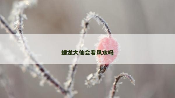 蟠龙大仙会看风水吗