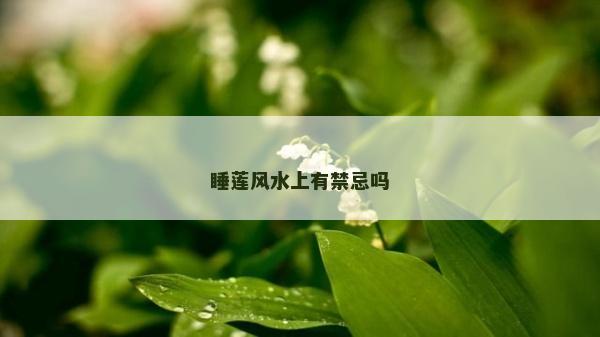 睡莲风水上有禁忌吗