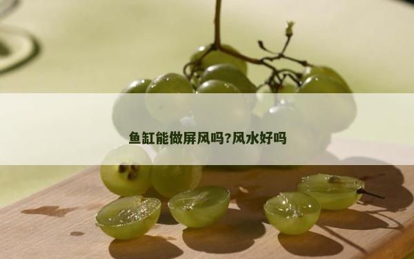 鱼缸能做屏风吗?风水好吗