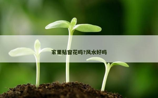 家里贴窗花吗?风水好吗