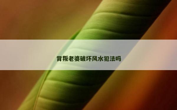 背叛老婆破坏风水犯法吗