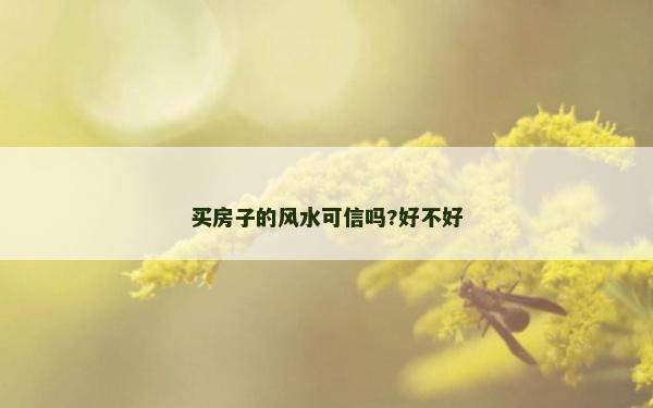 买房子的风水可信吗?好不好