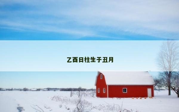 乙酉日柱生于丑月