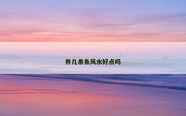 养几条鱼风水好点吗