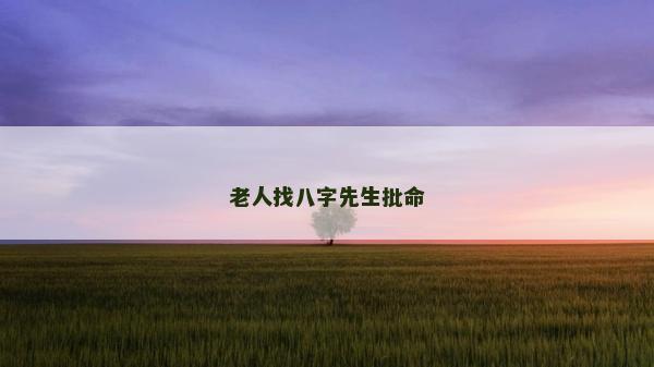 老人找八字先生批命