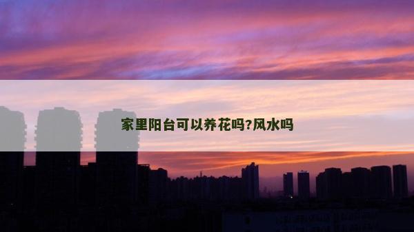 家里阳台可以养花吗?风水吗