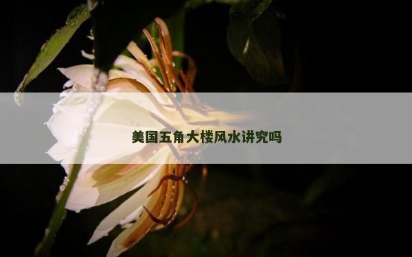 美国五角大楼风水讲究吗