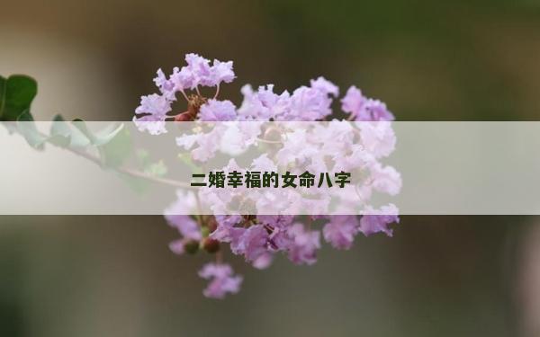 二婚幸福的女命八字