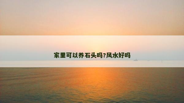 家里可以养石头吗?风水好吗